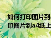 如何打印图片到a4纸上不留白边框（如何打印图片到a4纸上）