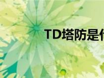 TD塔防是什么意思（td塔防）